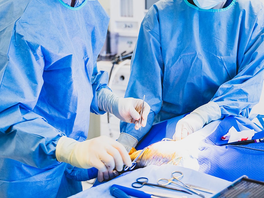 Rezensionen Für Anicura Tierklinik Stuttgart Plieningen Tierklinik Neandertal GmbH | AniCura Deutschland | AniCura Tierklinik